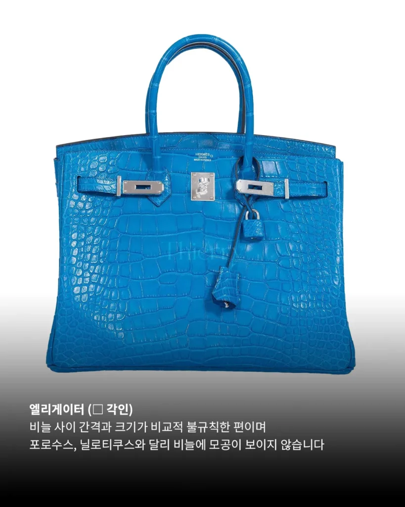 Crocodile Leathers Look Similar at First, Until You Know What to Look For.