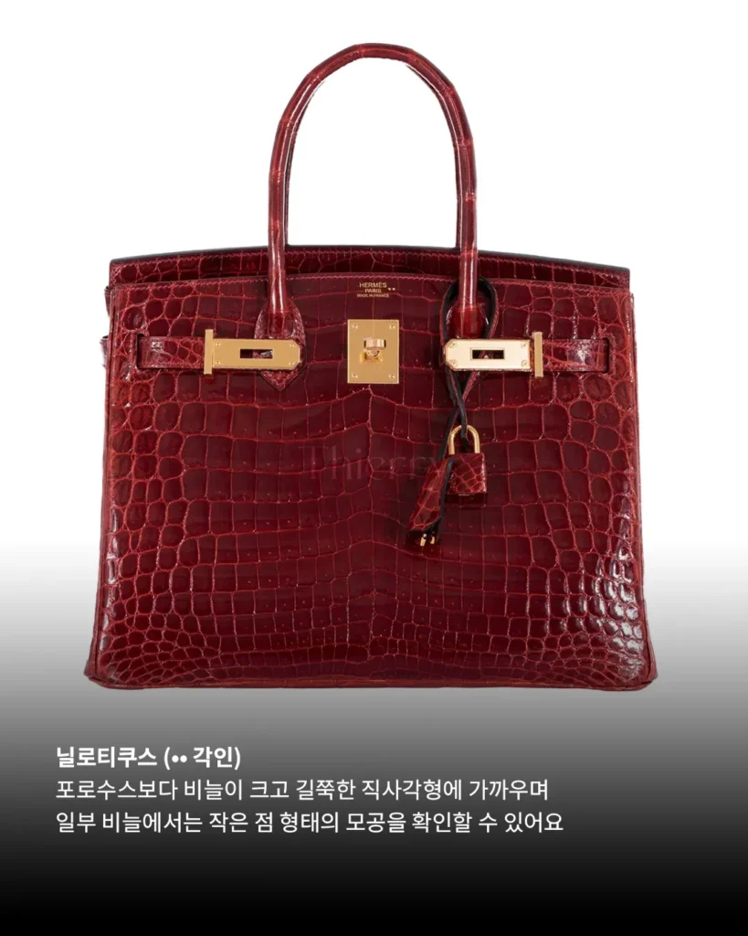 Crocodile Leathers Look Similar at First, Until You Know What to Look For.