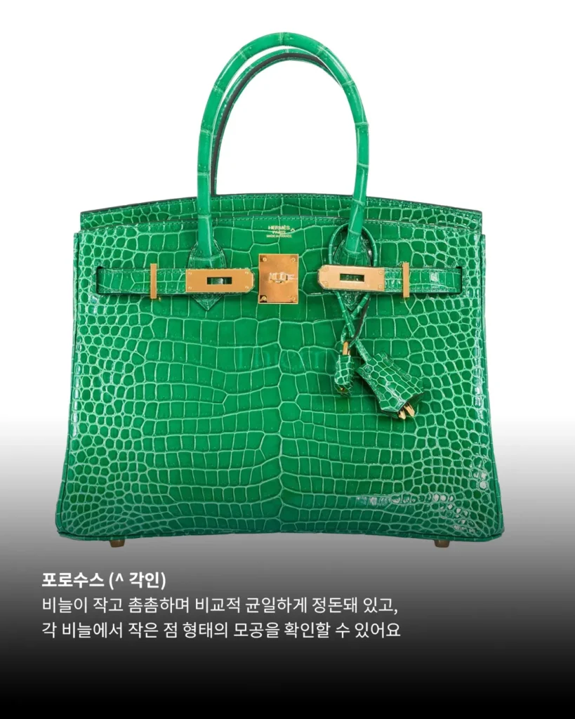 Crocodile Leathers Look Similar at First, Until You Know What to Look For.