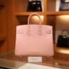 Birkin 25 Mysore Rose Sakura GHW (HSS)