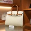 Birkin 30 Epsom Sellier Craie/Gold GHW (HSS)