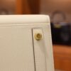 Birkin 30 Epsom Sellier Craie/Gold GHW (HSS)