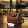 Mini Lindy Clemence Gold GHW