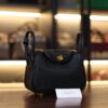 Mini Lindy Clemence Black GHW