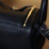 Mini Lindy Clemence Black GHW