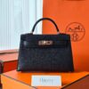 Mini Kelly Mysore Black RGHW