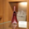 Mini Kelly Box Rouge H PHW