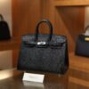 Birkin 20 Lizard Black PHW