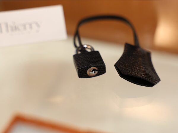 Birkin 20 Lizard Black PHW