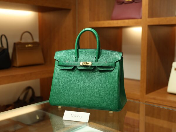 버킨 25 끌레망스 베르트 베르티고 금장 001_139A5735 Birkin 25 Clemence Vert Vertigo GHW