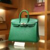 Birkin 25 Clemence Vert Vertigo GHW