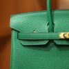 Birkin 25 Clemence Vert Vertigo GHW