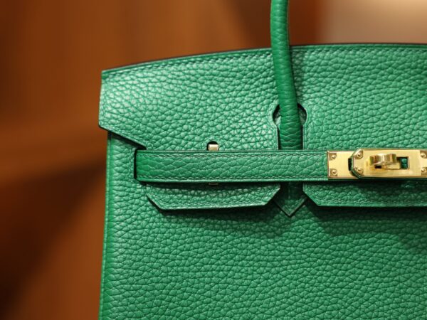 Birkin 25 Clemence Vert Vertigo GHW