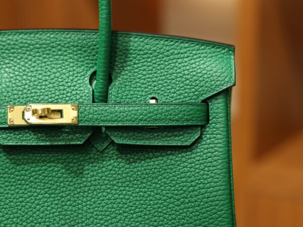 Birkin 25 Clemence Vert Vertigo GHW