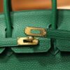 Birkin 25 Clemence Vert Vertigo GHW