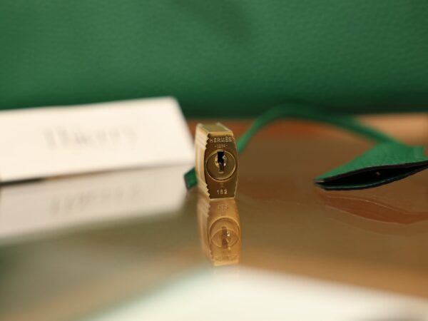 Birkin 25 Clemence Vert Vertigo GHW