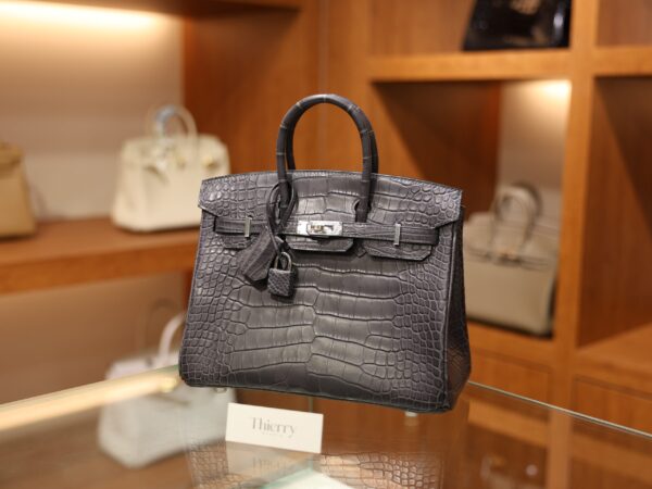 버킨 25 매트 엘리게이터 그리스 파리스 은장 001_139A2713 Birkin 25 Matte Alligator Gris Paris PHW