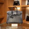 Birkin 25 Matte Alligator Gris Paris PHW