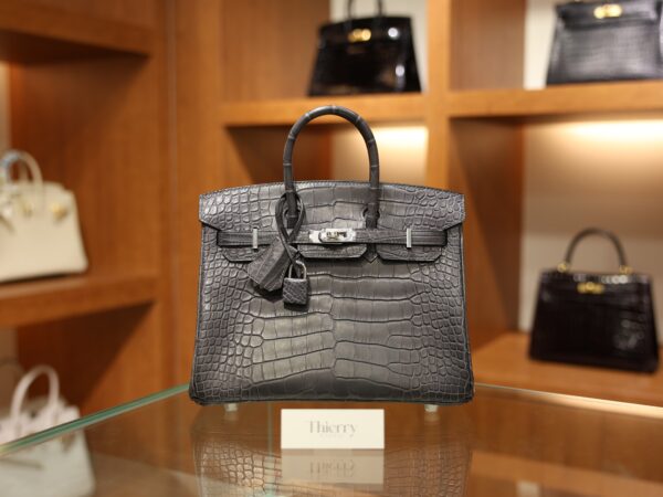 Birkin 25 Matte Alligator Gris Paris PHW