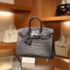 Birkin 25 Matte Alligator Gris Paris PHW