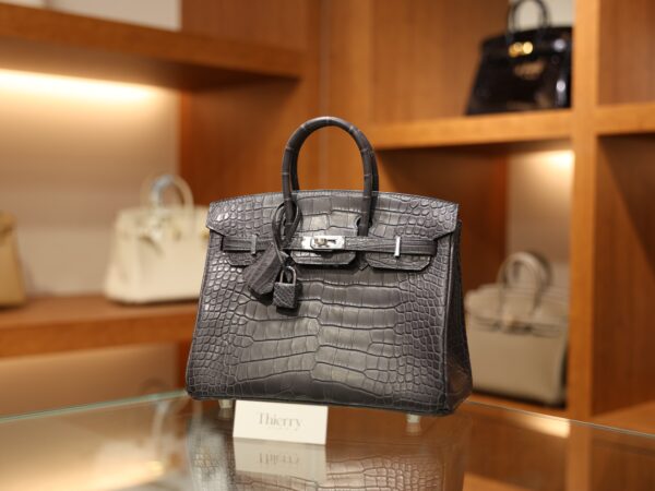 Birkin 25 Matte Alligator Gris Paris PHW