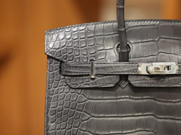 Birkin 25 Matte Alligator Gris Paris PHW
