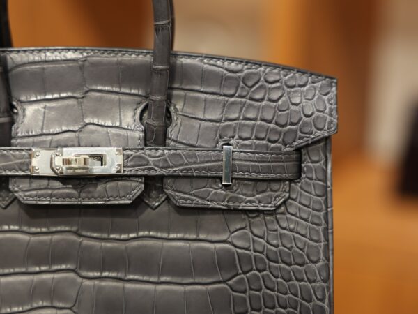 Birkin 25 Matte Alligator Gris Paris PHW