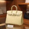 Birkin 25 Matte Alligator Vanilla GHW