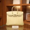 Birkin 25 Matte Alligator Vanilla GHW