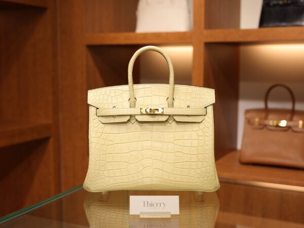 Birkin 25 Matte Alligator Vanilla GHW