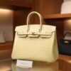 Birkin 25 Matte Alligator Vanilla GHW