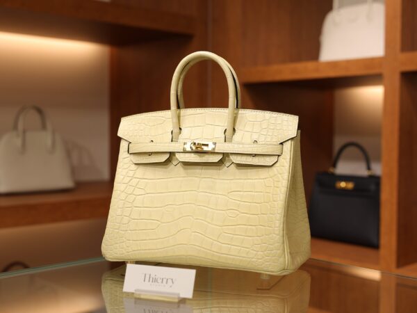 Birkin 25 Matte Alligator Vanilla GHW