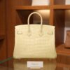 Birkin 25 Matte Alligator Vanilla GHW