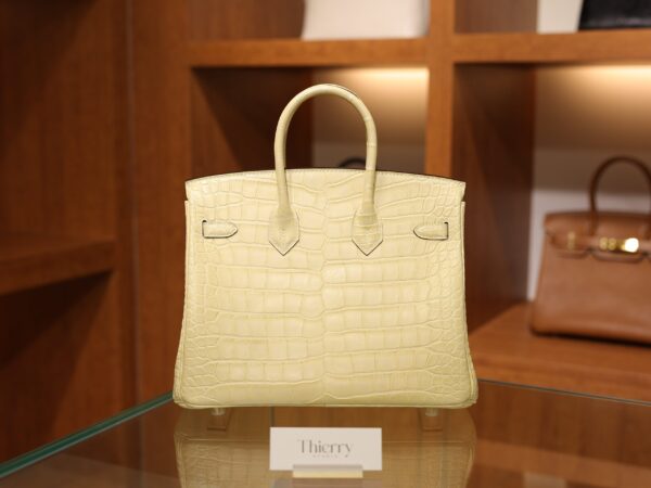 Birkin 25 Matte Alligator Vanilla GHW