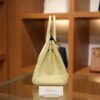 Birkin 25 Matte Alligator Vanilla GHW