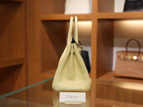 Birkin 25 Matte Alligator Vanilla GHW
