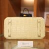 Birkin 25 Matte Alligator Vanilla GHW