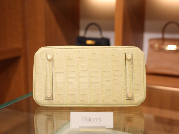 Birkin 25 Matte Alligator Vanilla GHW