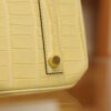 Birkin 25 Matte Alligator Vanilla GHW