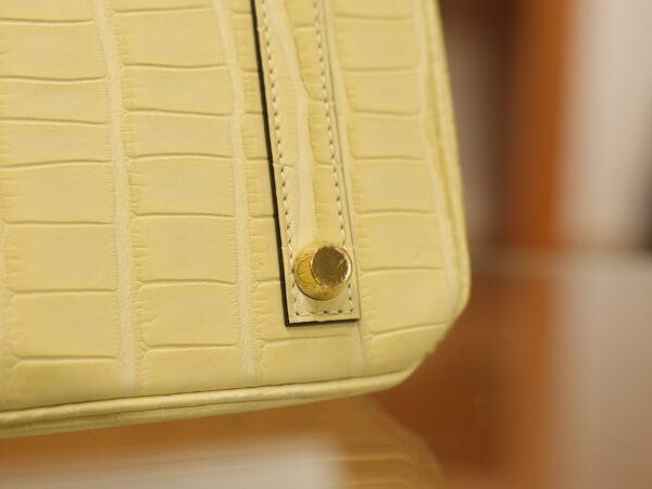 Birkin 25 Matte Alligator Vanilla GHW
