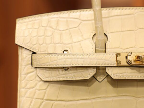 Birkin 25 Matte Alligator Vanilla GHW