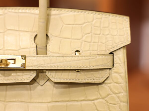 Birkin 25 Matte Alligator Vanilla GHW