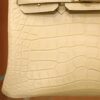 Birkin 25 Matte Alligator Vanilla GHW