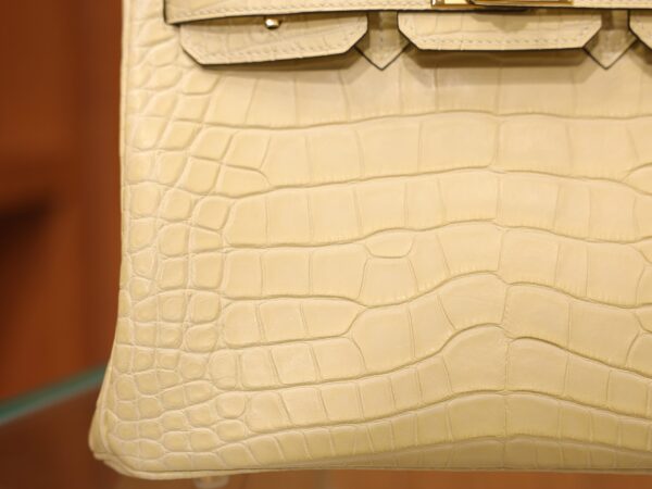 Birkin 25 Matte Alligator Vanilla GHW
