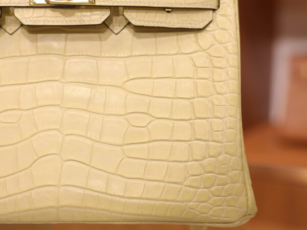 Birkin 25 Matte Alligator Vanilla GHW