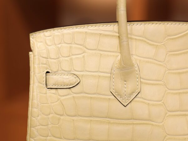 Birkin 25 Matte Alligator Vanilla GHW