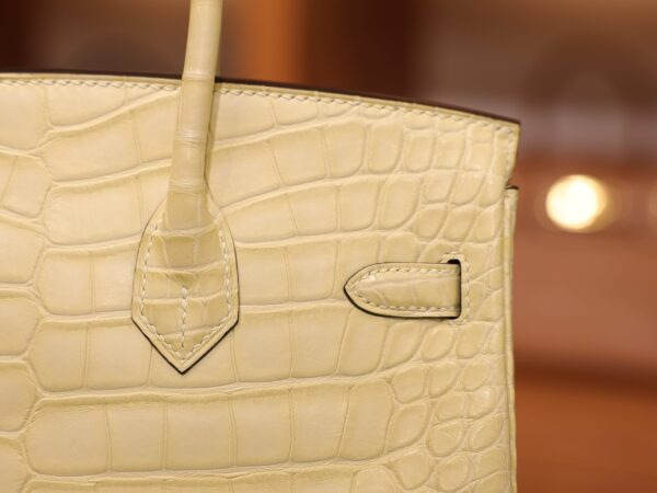 Birkin 25 Matte Alligator Vanilla GHW