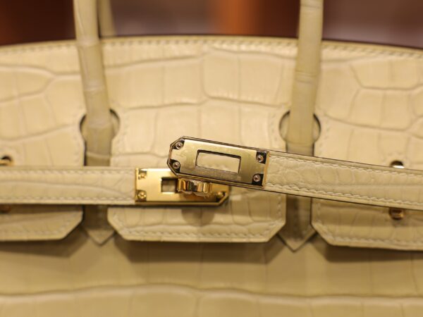 Birkin 25 Matte Alligator Vanilla GHW