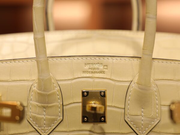 Birkin 25 Matte Alligator Vanilla GHW