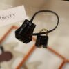 Birkin 25 Shiny Alligator Black GHW